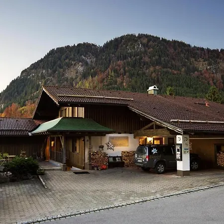 Chalet Edelweiss Lejlighed *